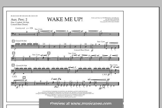 Wake Me Up! (arr. Tom Wallace): Aux. Perc. 2 part by Aloe Blacc, Michael Einziger, Avicii, Arash Andreas Pournouri