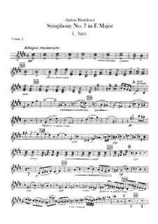 Симфония No.7 ми мажор, WAB 107: Партия II скрипки by Антон Брукнер