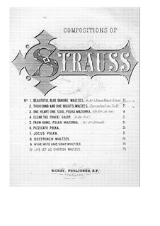 На прекрасном голубом Дунае, для фортепиано, Op.314: Для одного исполнителя by Иоганн Штраус (младший)
