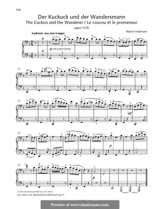 The Cuckoo and the Wanderer: The Cuckoo and the Wanderer by Роберт Фолькманн