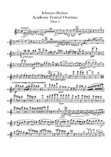 Академическая фестивальная увертюра, Op.80: Партии флейт by Иоганнес Брамс