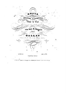 Двенадцать больших каприсов для валторны, Op.32: Двенадцать больших каприсов для валторны by Jacques François Gallay