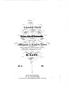 Большое трио для струнных ре мажор, Op.8: Партия скрипки by Moritz Ganz