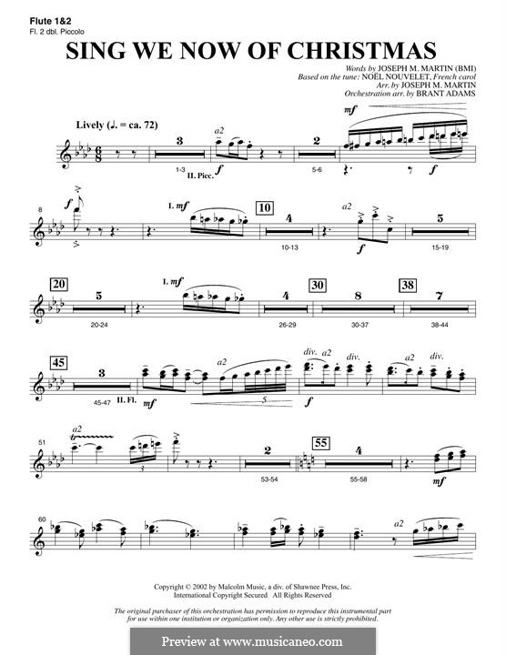 Choir Instrumental Pak version by Joseph M. Martin: Flute 1 & 2 (Piccolo) part by folklore