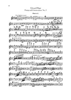 Марш No.3: Партии флейт by Эдуард Элгар