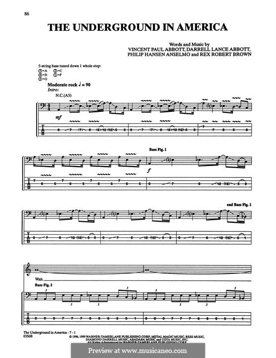 The Underground In America (Pantera): The Underground In America (Pantera) by Luis Pérez Cedrón