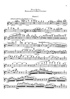 Бенвенуто Челлини, H.76 Op.23: Увертюра – партии флейт by Гектор Берлиоз