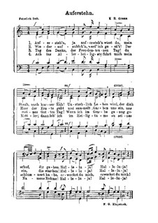 Die Auferstehung: Klavierauszug mit Singstimmen by Карл Генрих Граун