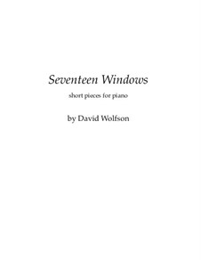 Seventeen Windows: Seventeen Windows by David Wolfson