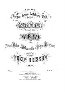 Фантазия на темы из оперы 'Норма' Беллини, Op.58: Партия фортепиано by Фредерик Бриссон