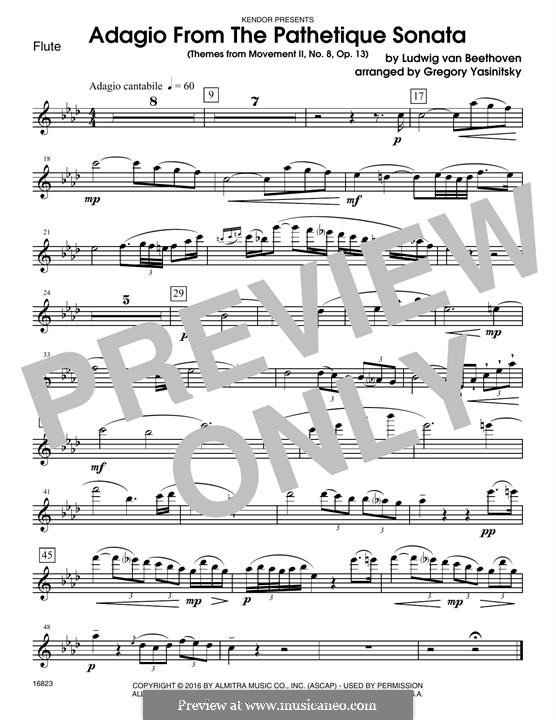 Часть II: Themes, for winds - flute part by Людвиг ван Бетховен