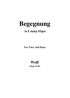 Тетрадь I: No.8 Begegnung (F sharp Major) by Хуго Вольф