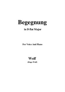 Тетрадь I: No.8 Begegnung (D flat Major) by Хуго Вольф