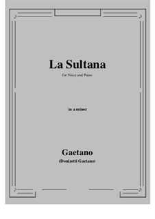 La Sultana: B flat minor by Гаэтано Доницетти