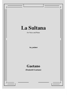 La Sultana: G minor by Гаэтано Доницетти