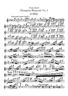 No.14 фа минор, для оркестра, S.359/1: Партии флейт by Франц Лист