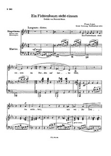 Ein Fichtenbaum steht einsam, S.309: Erste Fassung by Франц Лист