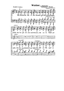 Waldlied: Waldlied by Антон Рубинштейн