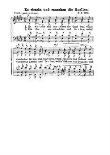 Es rieseln und rauschen die Quellen: Singpartitur by Карл Август Керн