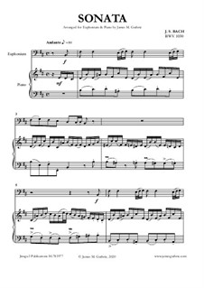 Соната для флейты и клавесина No.1 си минор, BWV 1030: For Euphonium and Piano by Иоганн Себастьян Бах