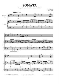 Соната для флейты и клавесина No.1 си минор, BWV 1030: For Soprano Sax and Piano by Иоганн Себастьян Бах