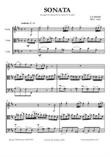 Соната для флейты и клавесина No.1 си минор, BWV 1030: Для струнного трио by Иоганн Себастьян Бах