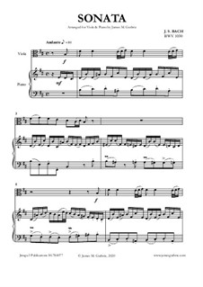 Соната для флейты и клавесина No.1 си минор, BWV 1030: Для альта и фортепиано by Иоганн Себастьян Бах