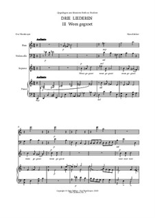 Drie Liederen op tekst van Eva Vleeskruyer voor sopraan, fluit, cello en piano: No.3 Wees gegroet by Hans Bakker