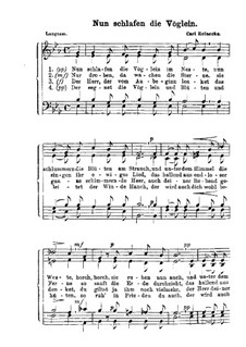 Nun schlafen die Vöglein: Nun schlafen die Vöglein by Карл Райнеке