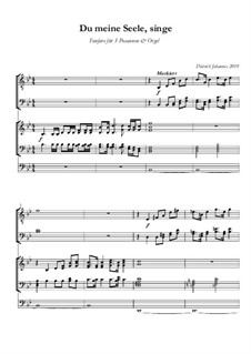 Du meine Seele, singe 'Fanfare': Du meine Seele, singe 'Fanfare' by Dietrich Johannes