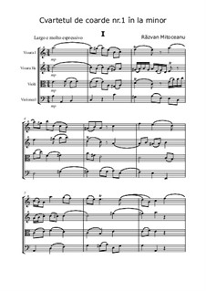 Cvartetul de coarde Nr.1 in la minor (String Quartet No.1 in a minor): Партитура и партии by Razvan Mitoceanu