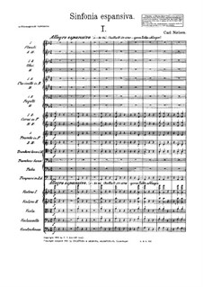 Симфония No.3 'Экспансивная', FS 60 Op.27: Часть I by Карл Нильсен