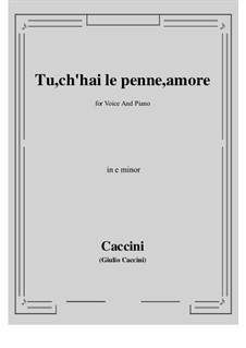 Tu, ch'hai le penne, Amore: E minor by Джулио Каччини