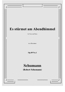 Шесть песен, Op.89: No.1 Es stürmet am Abendhimmel (e flat minor) by Роберт Шуман