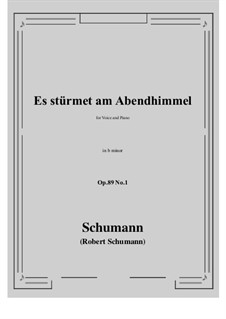 Шесть песен, Op.89: No.1 Es stürmet am Abendhimmel (b minor) by Роберт Шуман