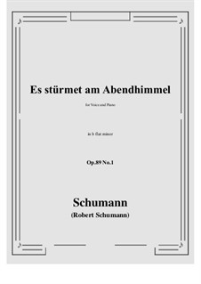 Шесть песен, Op.89: No.1 Es stürmet am Abendhimmel (b flat minor) by Роберт Шуман