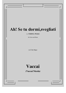 Джульетта и Ромео: Ah! Se tu dormi, svegliati (G flat Major) by Никола Ваккаи