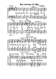 Nun schweigt die Hoh: Nun schweigt die Hoh by Фердинанд Мёринг