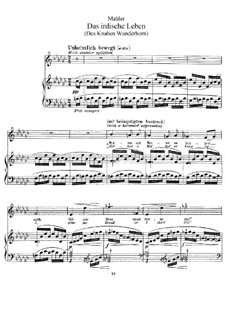 Волшебный рог мальчика: Земная жизнь by Густав Малер