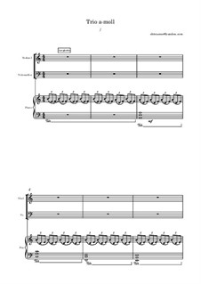 Trio a-moll: Trio a-moll by Ian Shtrasner