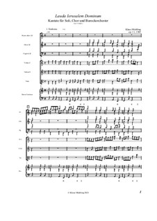 Lauda Ierusalem Dominum, Op.11: Lauda Ierusalem Dominum by Klaus Miehling