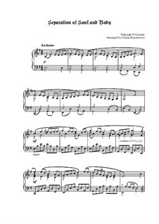 Separation of Soul and Body: Separation of Soul and Body by Торла О'Каролан