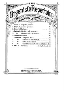 Шесть пьес для скрипки и фортепиано, Op.85: No.3 Каватина. Версия для органа by Иоахим Рафф