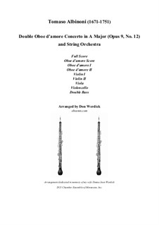Concerto No.12 in D Major: For double oboe d'amore and string orchestra by Томазо Альбинони
