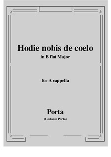 Hodie nobis de coelo pax vera descendit: B flat Major by Констанцо Порта