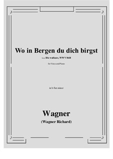 Валькирия, WWV 86b: Wo in Bergen du dich birgst (b flat minor) by Рихард Вагнер