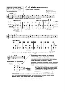 Aprender concertina E' O Vinho numerica: Aprender concertina E' O Vinho numerica by Unknown (works before 1850)