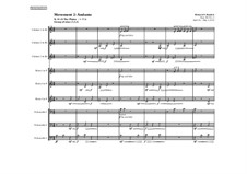 The Mindset Nonet, Op.242: No.2 Andante by Richard Burdick