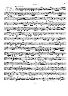 Большое блестящее трио соль мажор: Партия альта by Фердинандо Джорджетти