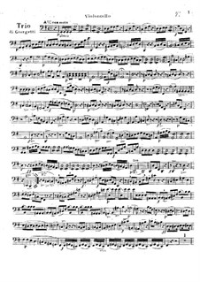 Большое блестящее трио соль мажор: Партия виолончели by Фердинандо Джорджетти